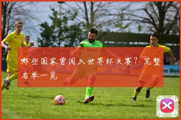 哪些国家曾闯入世界杯决赛？完整名单一览