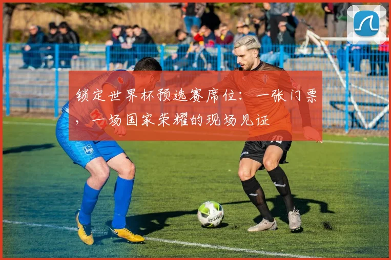锁定世界杯预选赛席位：一张门票，一场国家荣耀的现场见证