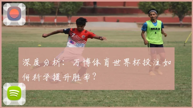 深度分析：万博体育世界杯投注如何科学提升胜率？